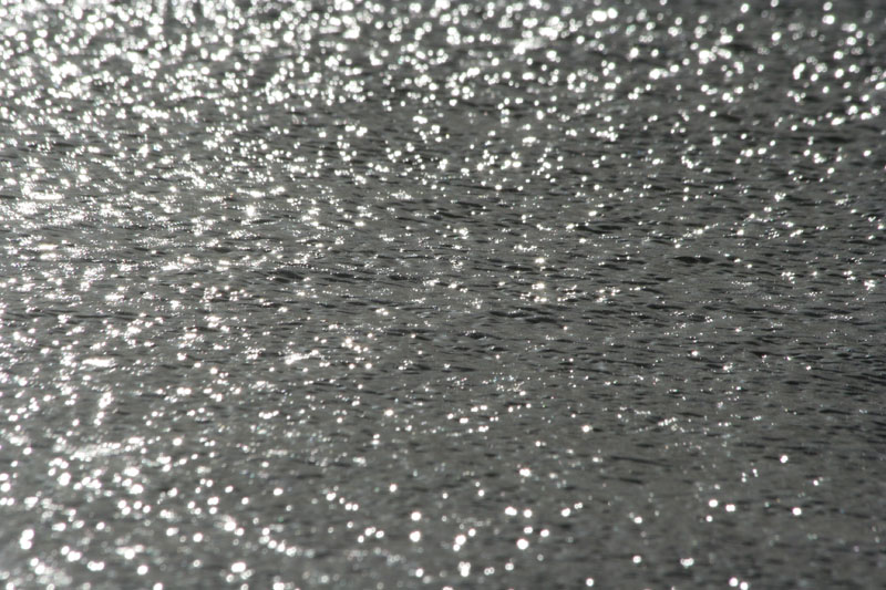 De zee bij Wassenaarse slag - glinstering van de zon
